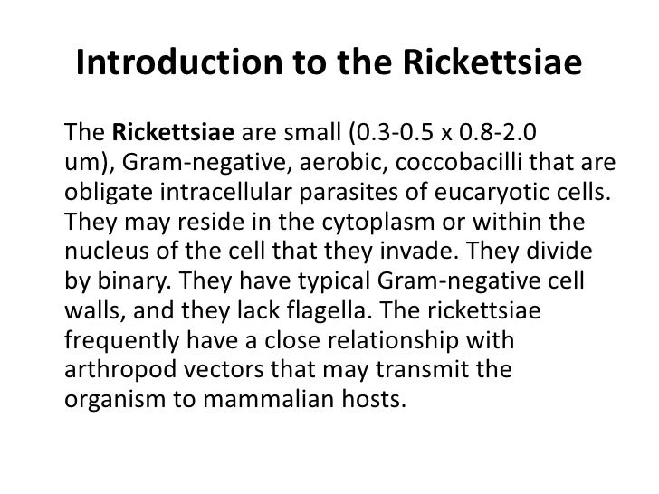 rickettsia etiology rickettsia reproduction